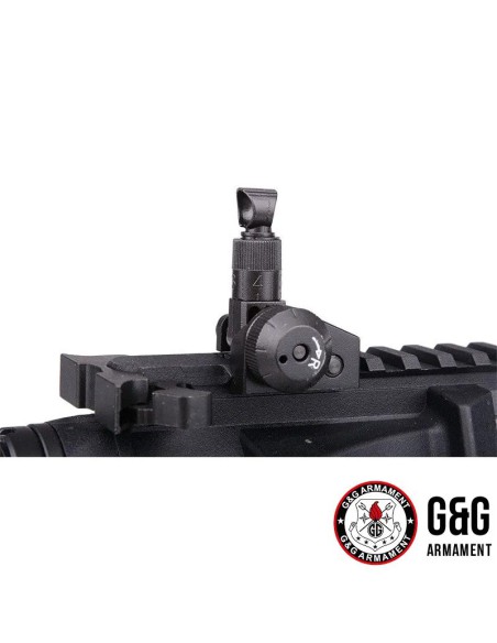 gg-cm16-ffr-a2-vista-posterior
