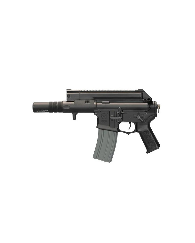 AMOEBA CCP S 004