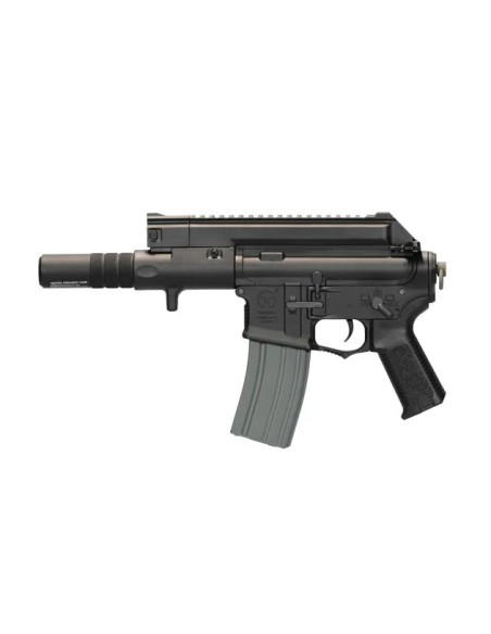 AMOEBA CCP S 004