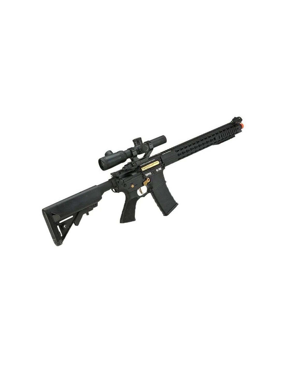 APS ASR-118 Boar Tactical Personalizado