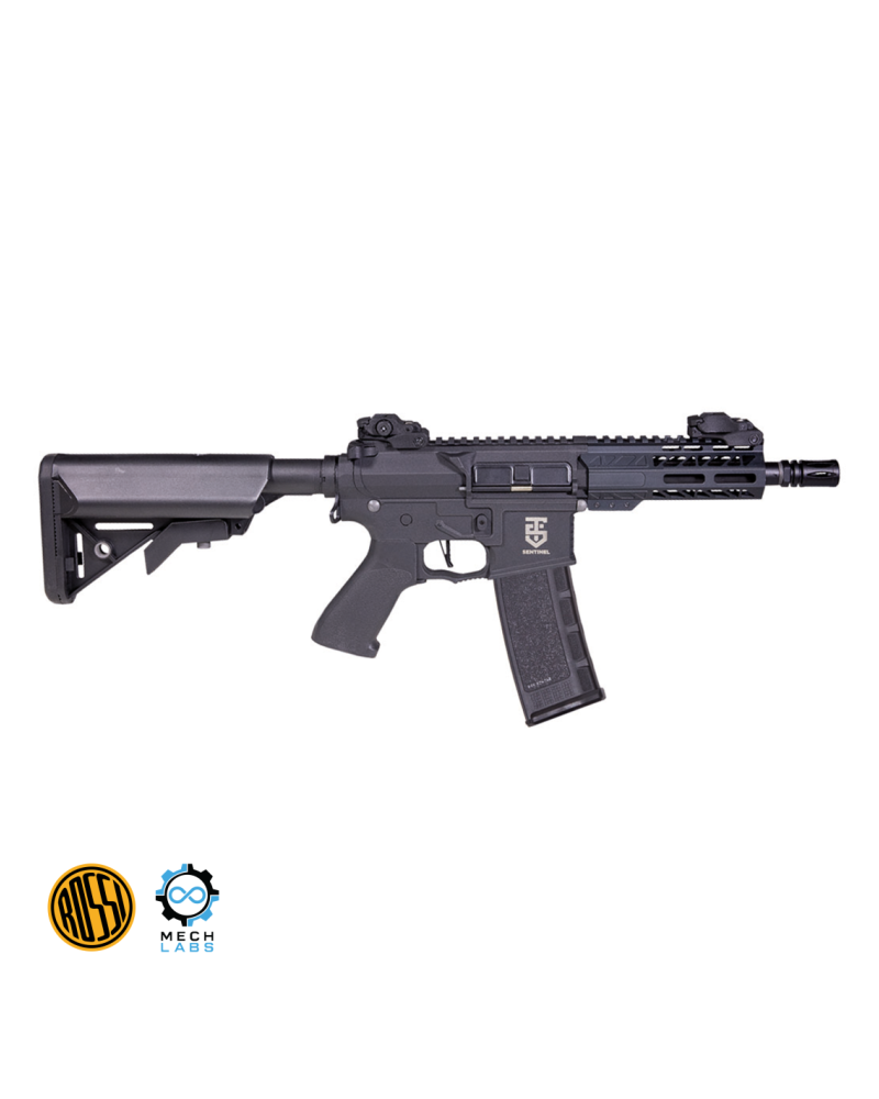 Fusil Sentinel OMEGA BK HPA XX-Mod (MechLabs) - Rossi