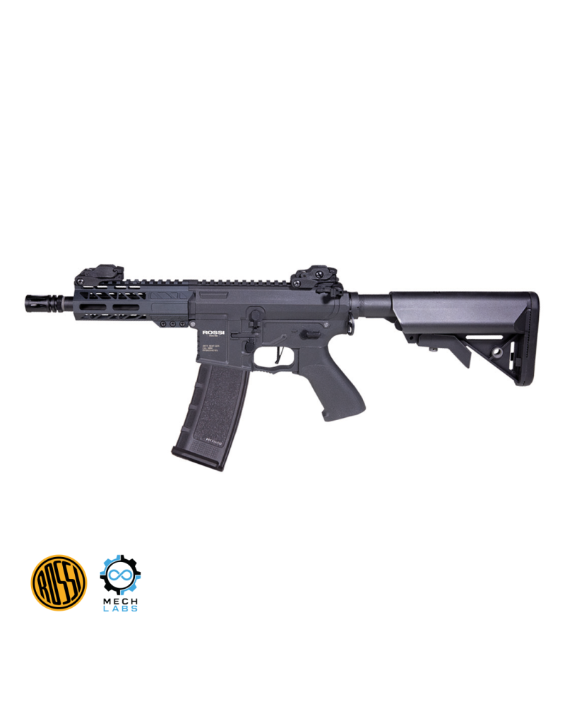 Fusil Sentinel OMEGA BK HPA XX-Mod (MechLabs) - Rossi