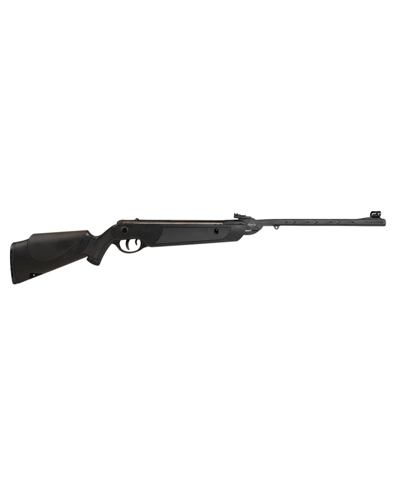 Carabina ROSSI DIONE SPORT 5.5 mm - 13,3 J