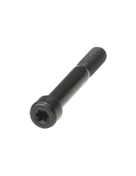 Tornillo Torx (Torx Bolt) Holosun - Airsoft Yecla
