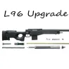 L96 y Clones