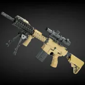 SR25
