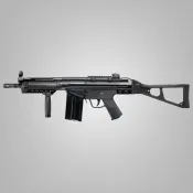 FS51 G&G